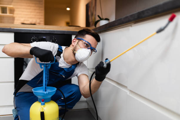 Best Residential Pest Control  in San Saba, TX