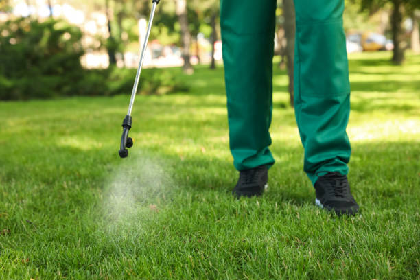 Best Best Pest Control Companies  in San Saba, TX