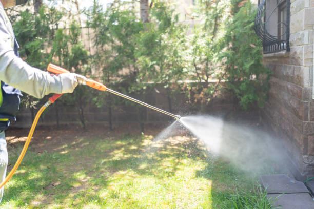 Pest Prevention Services in San Saba, TX