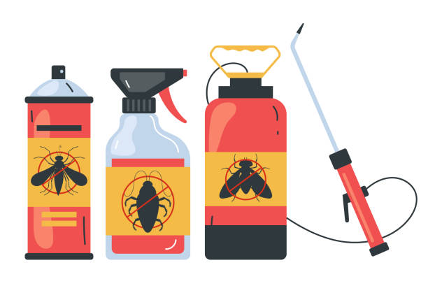 Best Termite Control Services  in San Saba, TX
