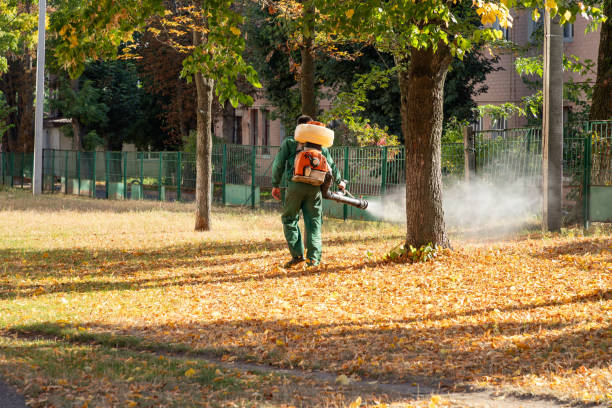 Best Pest Control Treatment  in San Saba, TX