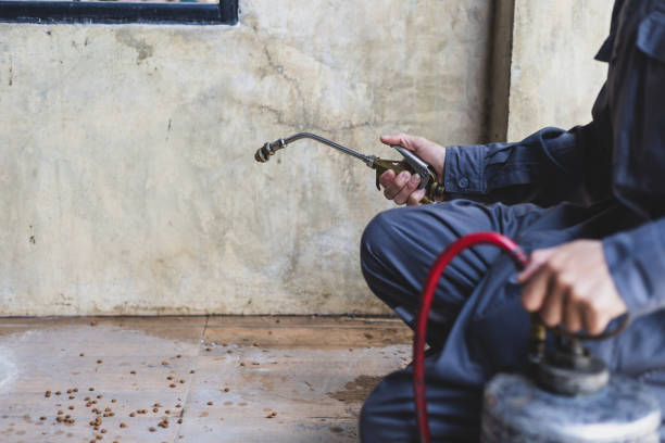 Best Emergency Pest Control  in San Saba, TX