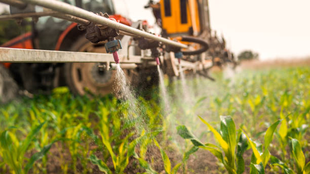 Best Ant Control Services  in San Saba, TX