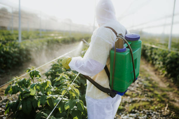 Best Commercial Pest Control Services  in San Saba, TX